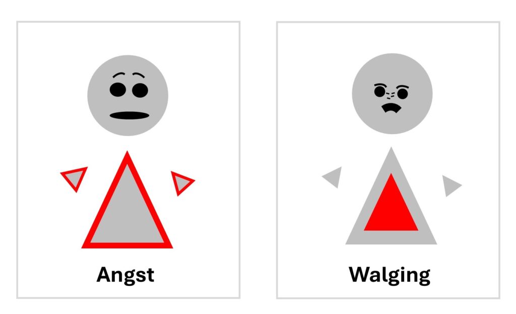 Emoties op het werk en emoties in het algemeen hebben een fysieke invloed die functioneel is, zoals aangepaste gezichtsuitdrukking bij angst en walging