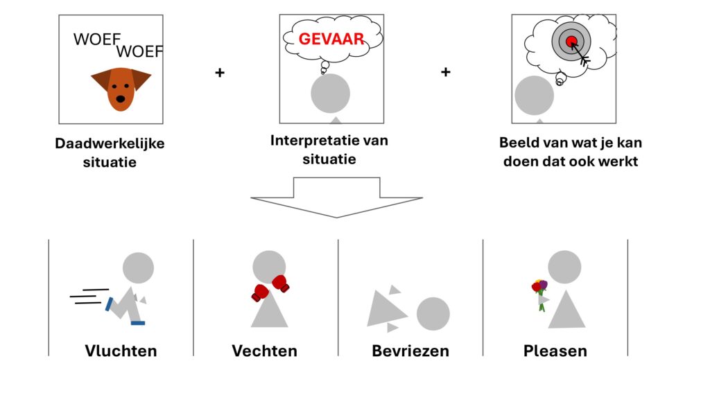 In het geval van gevaar wordt iemands daadwerkelijke emotionele reactie op het werk beïnvloed door de daadwerkelijke situatie, iemands interpretatie ervan en het beeld dat iemand heeft van zijn of haar mogelijkheden